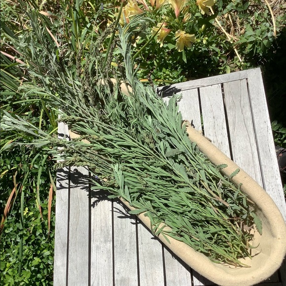 White Sage with Lavender 10”Organic Natural Boho Home Decor Smudge Stick - Picture 4 of 16